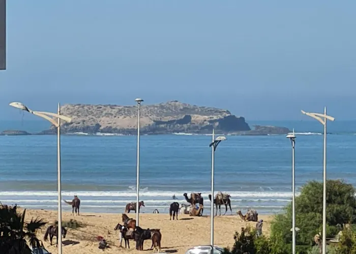 Appartement Avec Vue Sur Mer